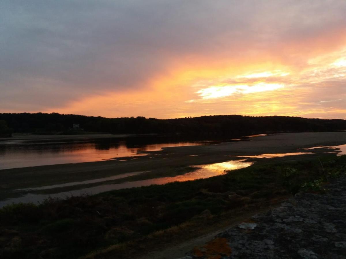 Le Cosy Loire Appart Les Rosiers-sur-Loire Ngoại thất bức ảnh