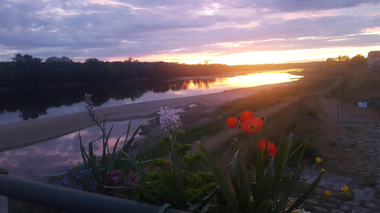 Le Cosy Loire Appart Les Rosiers-sur-Loire Ngoại thất bức ảnh